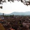 view-from-torre-guinigi