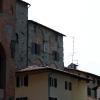 pistoia16