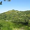 monte_giovi3