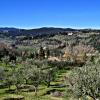 fiesole-pratone-montececeri