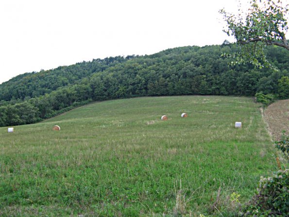 panorama_trebbio