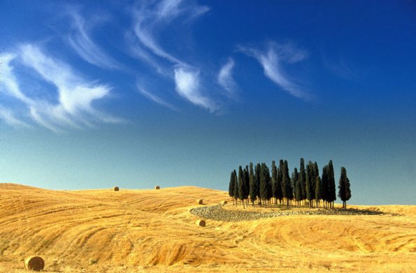 Europe, Italy, Val d'Orcia