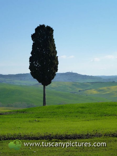 Val d'Orcia