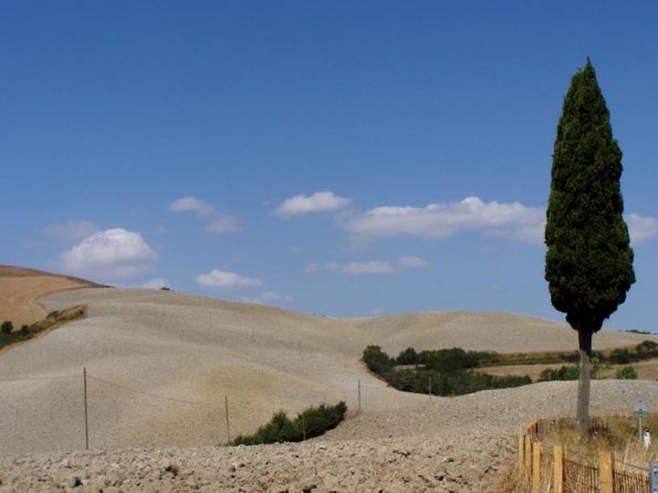 Volterra countryside